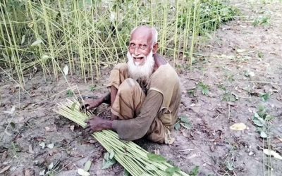 জয়পুরহাটে পাটের দাম ভালো পেয়ে কৃষকের মুখে হাসি