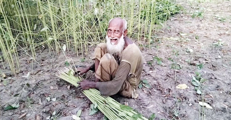 জয়পুরহাটে পাটের দাম ভালো পেয়ে কৃষকের মুখে হাসি