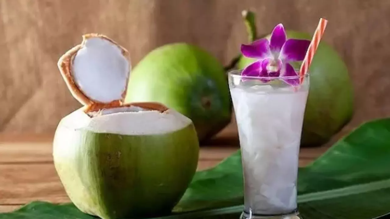 গরমে ডাবের পানি কতটা জরুরি