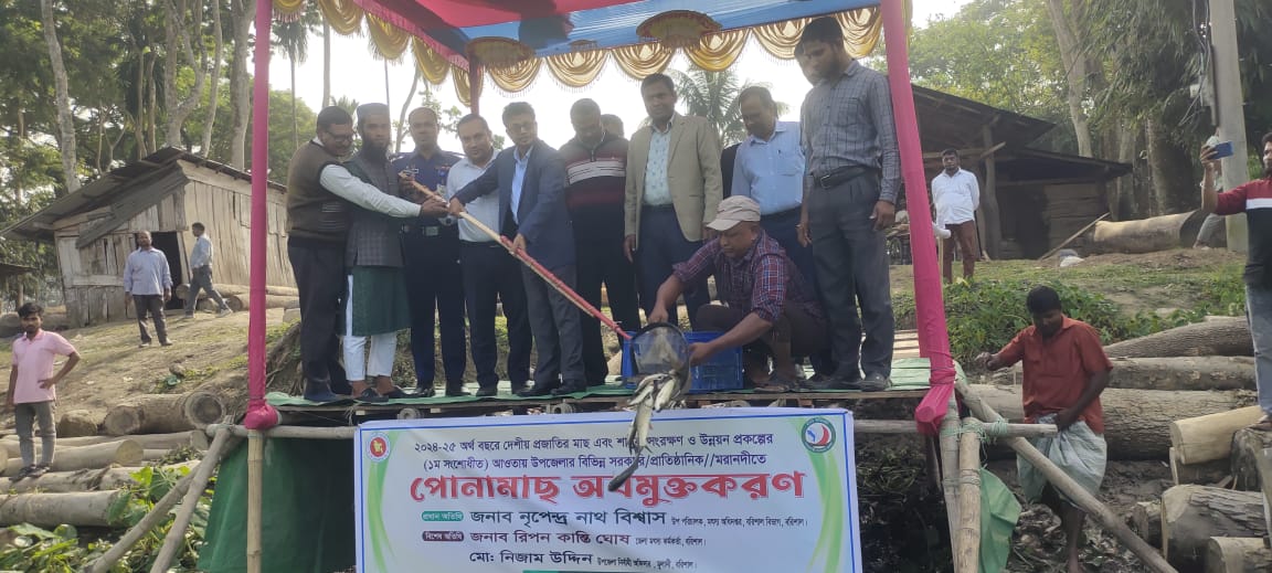 মুলাদীতে সরকারী-প্রতিষ্ঠানি ও মরানদীতে পোনামাছ অবমুক্ত করন