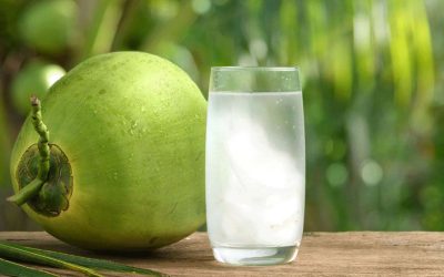 গরমে সতেজ রাখবে যেসব পানীয়