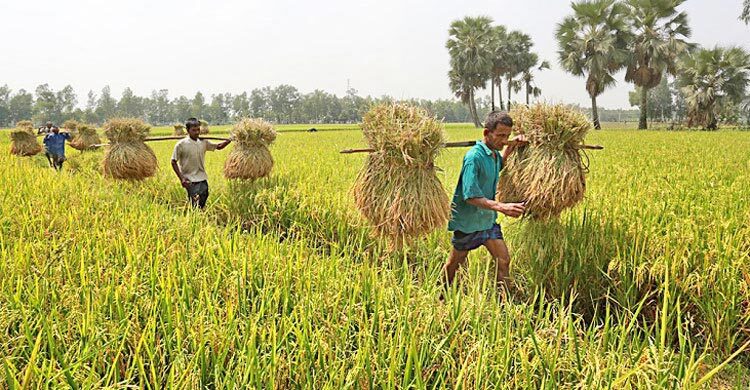 সেমিনারে বক্তারা বাজেটে কৃষির হিস্যা বাড়াতে হবে