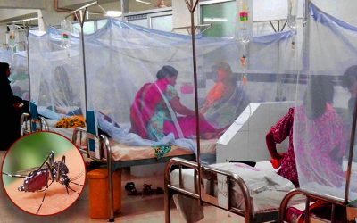 ডেঙ্গুতে আরও ২ জনের মৃত্যু, হাসপাতালে ভর্তি ১৯৫