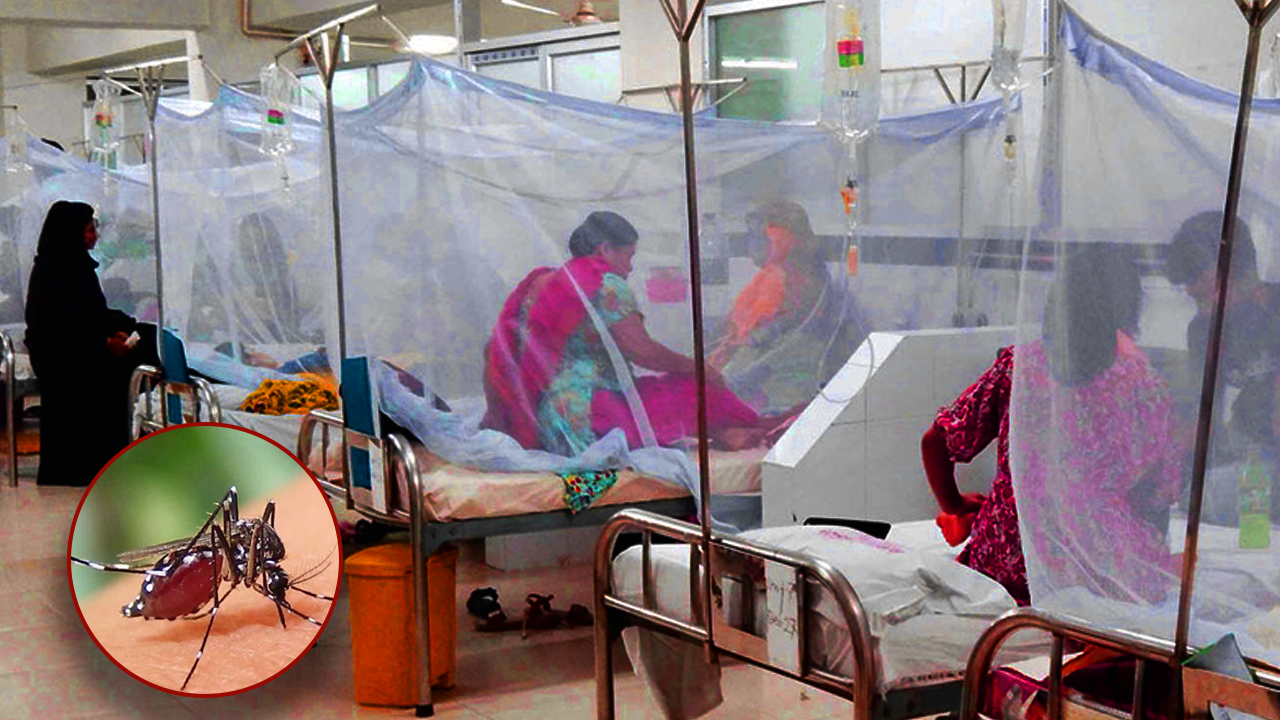 ডেঙ্গুতে আরও ২ জনের মৃত্যু, হাসপাতালে ভর্তি ১৯৫