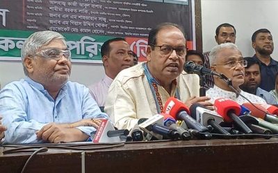 নির্বাচনের কথা বললেই ভারতের দালাল বানিয়ে দিচ্ছে: দুদু