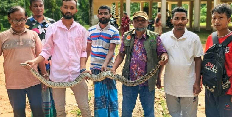 শেরপুরে গারো পাহাড় থেকে বিরল প্রজাতির বার্মিজ পাইথন উদ্ধার