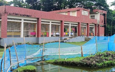 গলাচিপায় জলাবদ্ধতায় বন্ধ হয়ে যায় সাংবাদিক গনি মিয়া সরকারি প্রাথমিক বিদ্যালয়ের পাঠদান