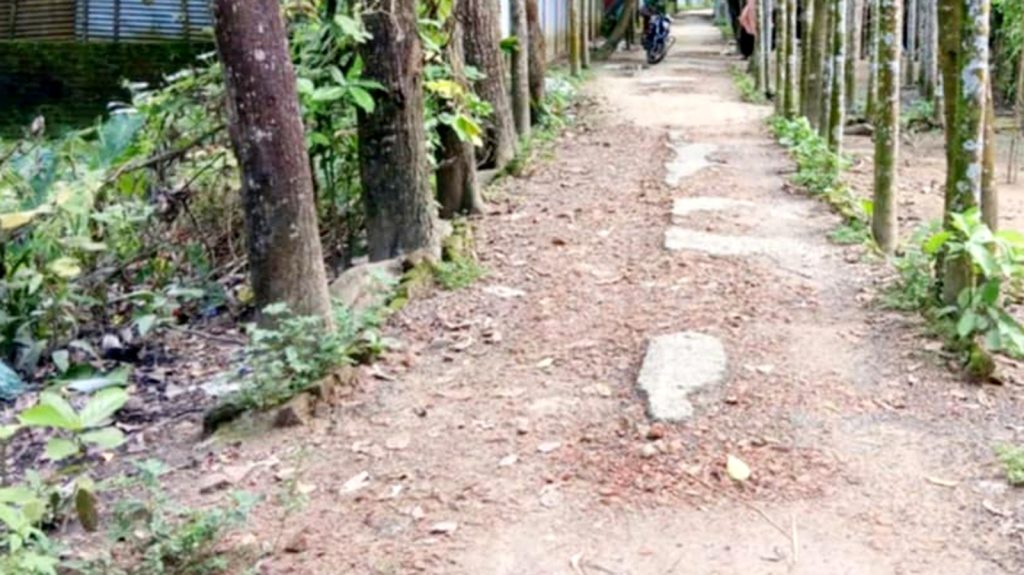 ঝিনাইগাতীতে সংস্কারের অভাবে সড়কের বেহাল দশা