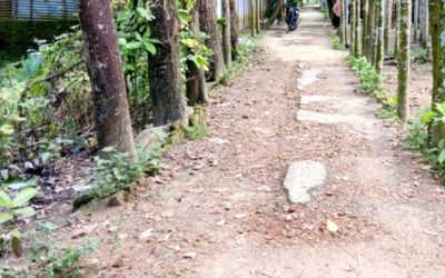 ঝিনাইগাতীতে সংস্কারের অভাবে সড়কের বেহাল দশা