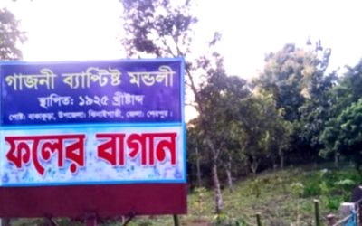 ঝিনাইগাতীতে সরকারি বনভূমি জবর দখলকে কেন্দ্র করে উত্তেজনা : নিরপেক্ষ তদন্তের দাবি স্থানীয়দের