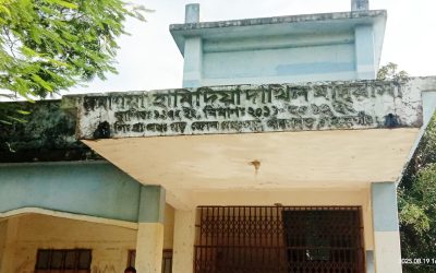 পীরগঞ্জে সুপারিনটেনডেন্ট ম্যানেজিং কমিটিসহ নির্বাচন অনিয়মে আদালতে মামলা