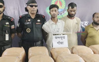টাঙ্গাইলে ৪৯ কেজি গাঁজাসহ তিনজনকে গ্রেফতার করেছে র‌্যাব