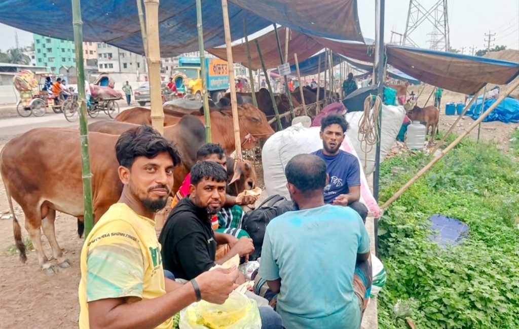 রাজধানীর হাজারীবাগ গরুর হাটে জমে উঠেছে কোরবানির পশুর বেচাকেনা