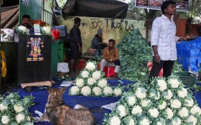 মধ্যপ্রাচ্য যুদ্ধের খরচ গুনছে ভারতের অর্থনীতি
