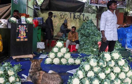 মধ্যপ্রাচ্য যুদ্ধের খরচ গুনছে ভারতের অর্থনীতি
