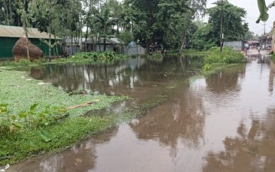 পঞ্চগড়ের দেবীগঞ্জে মনুষ্যসৃষ্ট জলাবদ্ধতায় পানিবন্দি অর্ধশতাধিক পরিবার