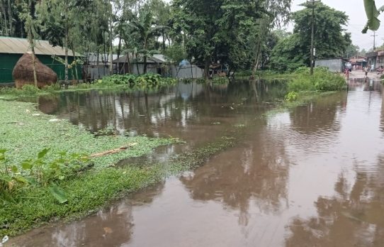 পঞ্চগড়ের দেবীগঞ্জে মনুষ্যসৃষ্ট জলাবদ্ধতায় পানিবন্দি অর্ধশতাধিক পরিবার