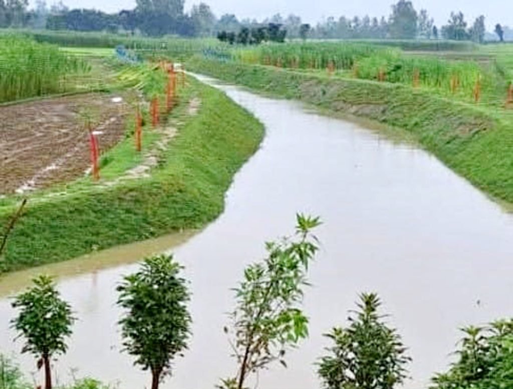 পীরগঞ্জে খাল খননের সাড়ে ১২ লক্ষ টাকা সরকারি কোষাগারে ফেরত দিলেন ইউএনও গোলাম রব্বানী সরদার