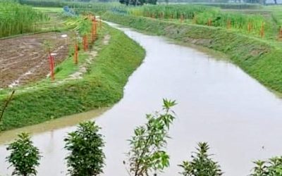 পীরগঞ্জে খাল খননের সাড়ে ১২ লক্ষ টাকা সরকারি কোষাগারে ফেরত দিলেন ইউএনও গোলাম রব্বানী সরদার