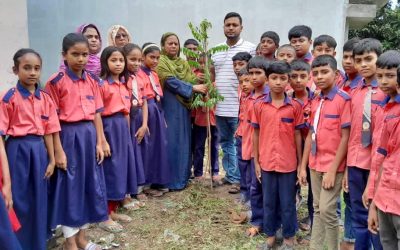 বাঘার নারায়ণপুর সরকারি প্রাথমিক বিদ্যালয়ে বৃক্ষরোপণ অনুষ্ঠিত