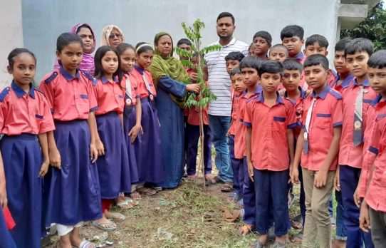 বাঘার নারায়ণপুর সরকারি প্রাথমিক বিদ্যালয়ে বৃক্ষরোপণ অনুষ্ঠিত