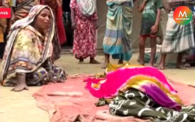 ঝিনাইগাতীতে ভাতিজার লাঠির আঘাতে চাচি খুন