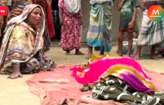 ঝিনাইগাতীতে ভাতিজার লাঠির আঘাতে চাচি খুন
