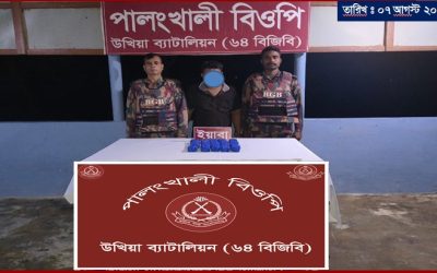 উলুবনিয়া সীমান্ত দিয়ে মিয়ানমার থেকে ইয়াবা নিয়ে ফেরার পথে বিজিবি’র হাতে যুবক আটক 