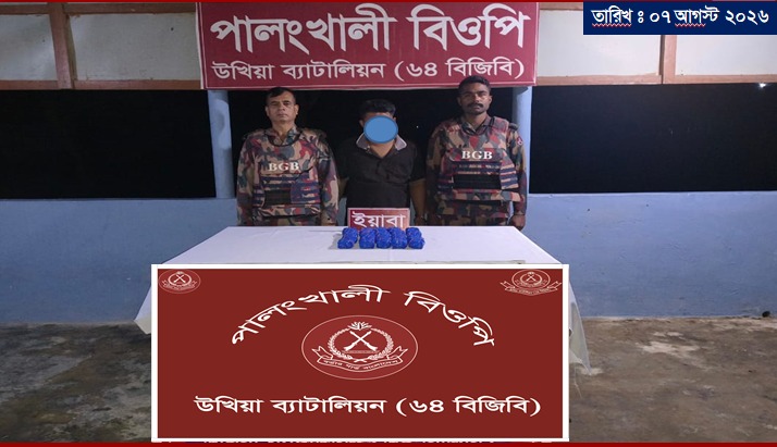 উলুবনিয়া সীমান্ত দিয়ে মিয়ানমার থেকে ইয়াবা নিয়ে ফেরার পথে বিজিবি’র হাতে যুবক আটক 