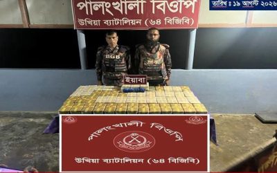 উখিয়ায় বিজিবির বিশেষ অভিযান:পালংখালী সীমান্তে থেকে মালিকবিহীন ৬ লাখ ৭২ হাজার পিস ইয়াবা জব্দ 
