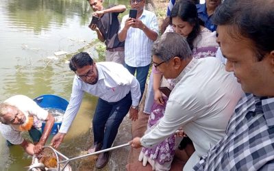 সখীপুরে জাতীয় মৎস্য দিবস উদযাপন