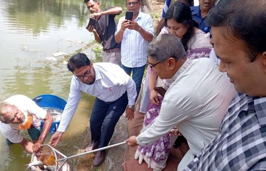 সখীপুরে জাতীয় মৎস্য দিবস উদযাপন