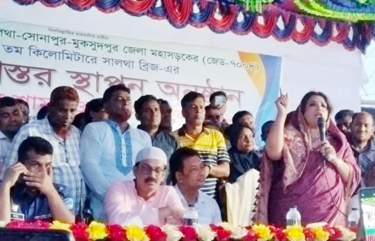 উন্নয়ন প্রধানমন্ত্রী তারেক রহমানের পক্ষেই সম্ভব : পররাষ্ট্র প্রতিমন্ত্রী শামা ওবায়েদ ইসলাম