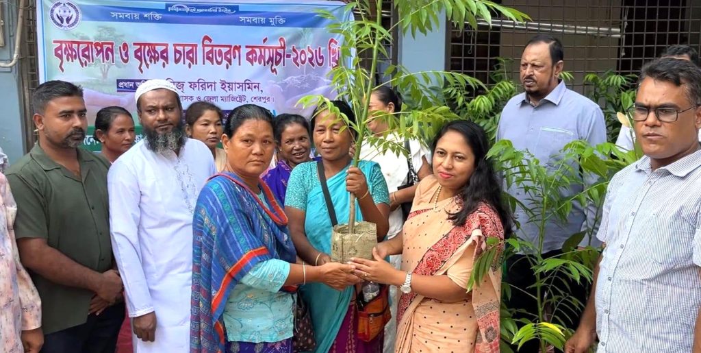 ঝিনাইগাতীতে আদর্শ কো-অপারেটিব ক্রেডিট ইউনিয়নের উদ্যোগে গাছের চারা বিতরণ