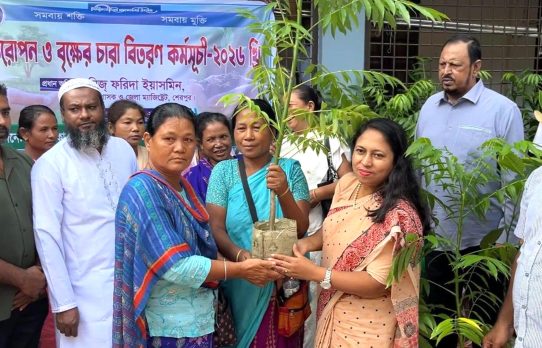 ঝিনাইগাতীতে আদর্শ কো-অপারেটিব ক্রেডিট ইউনিয়নের উদ্যোগে গাছের চারা বিতরণ