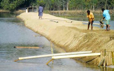 ঝিনাইগাতীর তাওয়াকোচা”য় একটি রাবার ড্যাম নির্মাণ করা হলে পাল্টে যাবে সাড়ে ৫ হাজার কৃষকের ভাগ্য