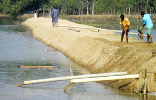 ঝিনাইগাতীর তাওয়াকোচা”য় একটি রাবার ড্যাম নির্মাণ করা হলে পাল্টে যাবে সাড়ে ৫ হাজার কৃষকের ভাগ্য