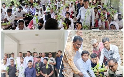 সিংড়ায় স্মার্ট প্রেস ক্লাবের উদ্যোগে শিক্ষার্থীদের মাঝে গাছের চারা বিতরণ ও বৃক্ষরোপণ উৎসব