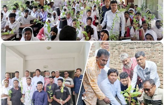 সিংড়ায় স্মার্ট প্রেস ক্লাবের উদ্যোগে শিক্ষার্থীদের মাঝে গাছের চারা বিতরণ ও বৃক্ষরোপণ উৎসব