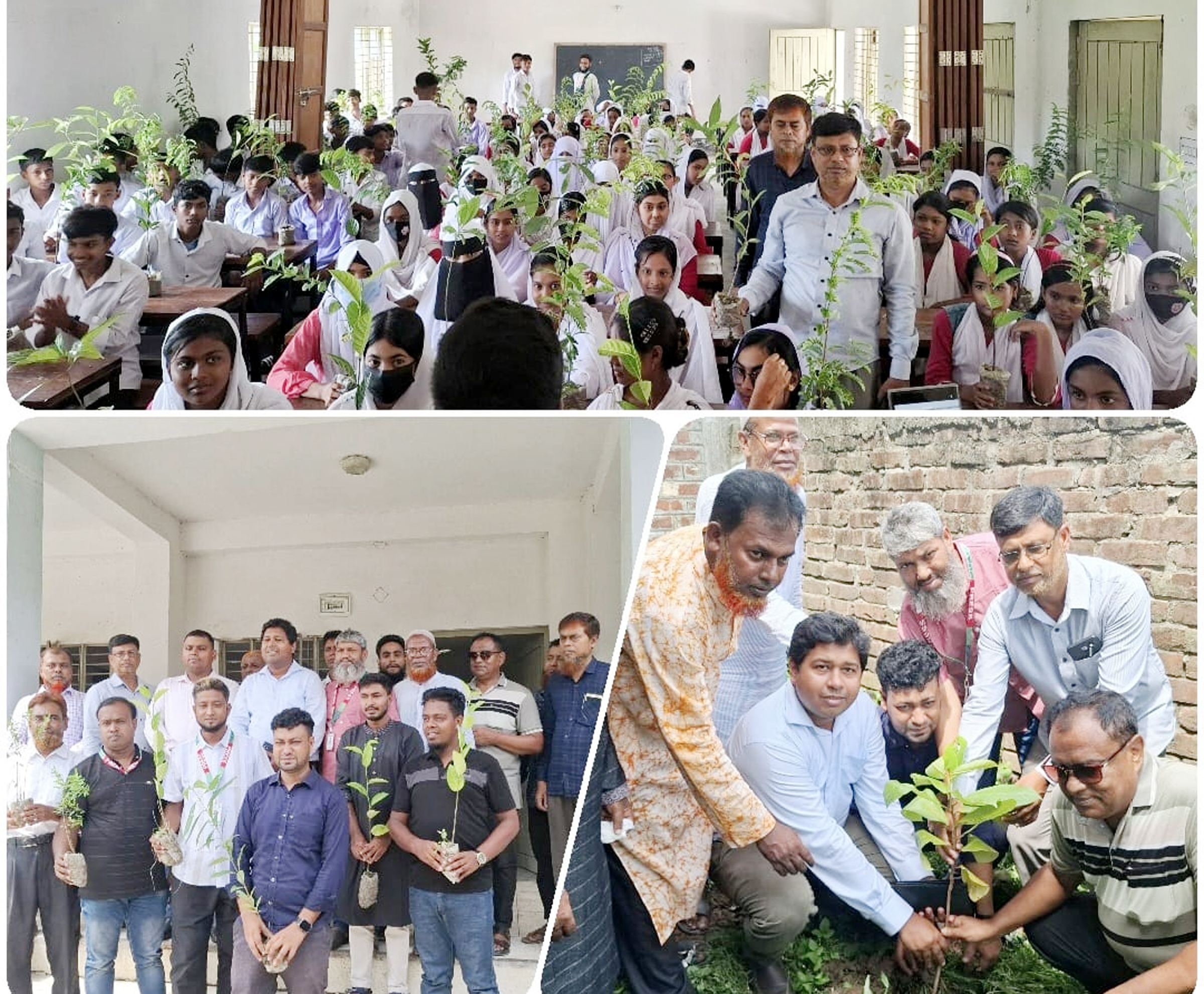 সিংড়ায় স্মার্ট প্রেস ক্লাবের উদ্যোগে শিক্ষার্থীদের মাঝে গাছের চারা বিতরণ ও বৃক্ষরোপণ উৎসব