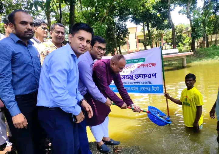 সিলেটের গোলাপগঞ্জে মৎস্য সপ্তাহ উপলক্ষে মাছের পোনা অবমুক্তকরণ