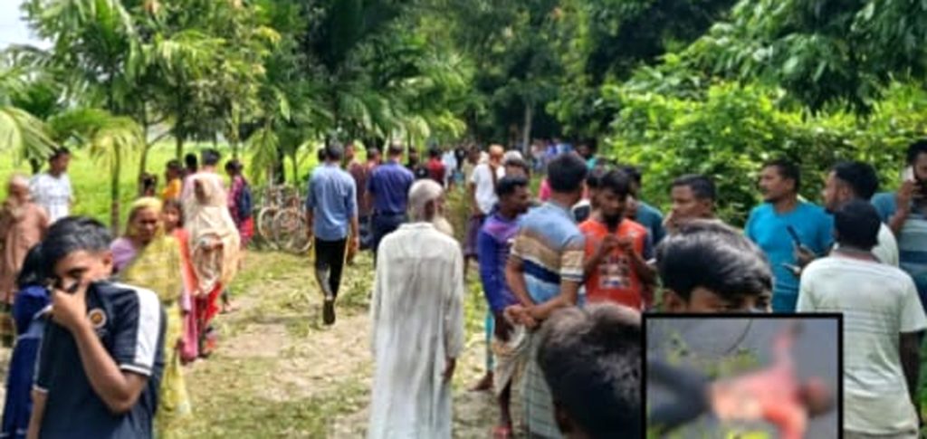 শিলদিয়া বিলে অজ্ঞাত ব্যক্তির মরদেহ উদ্ধার