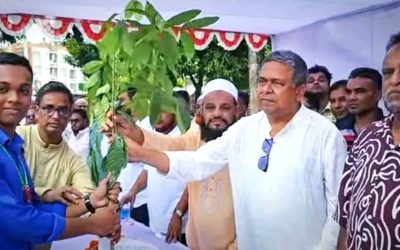 বিএনপির প্রতিষ্ঠাবার্ষিকীতে শ্রীপুরে শিক্ষার্থীদের মাঝে চারা বিতরণ