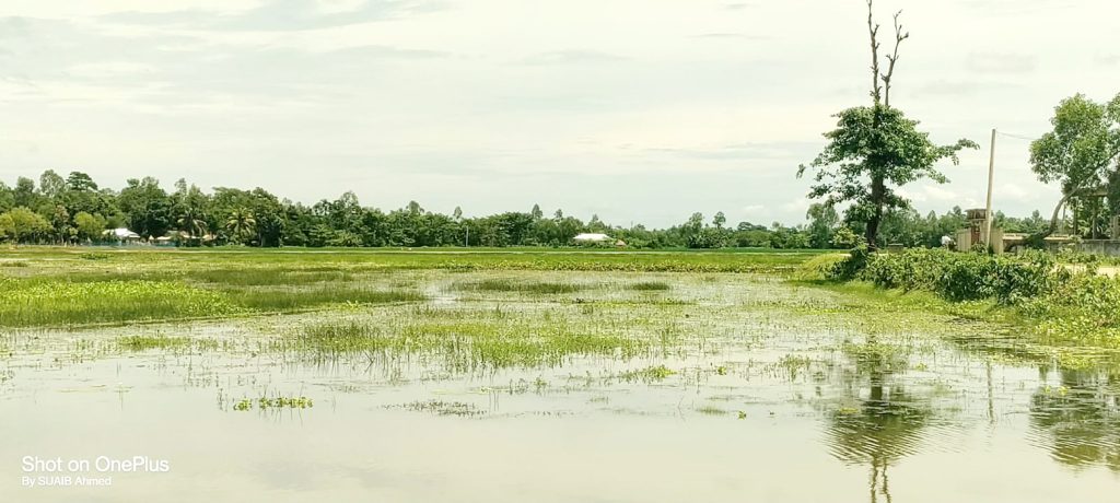 নদী খনন ও বাঁধের কবলে কৃষকের স্বপ্ন, পানিতে বিলীন শত শত বিঘা জমি